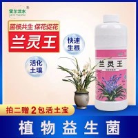 蘭靈王蘭花營養液525ml/瓶蘭花君子蘭肥料生根催芽EM菌液微生物菌